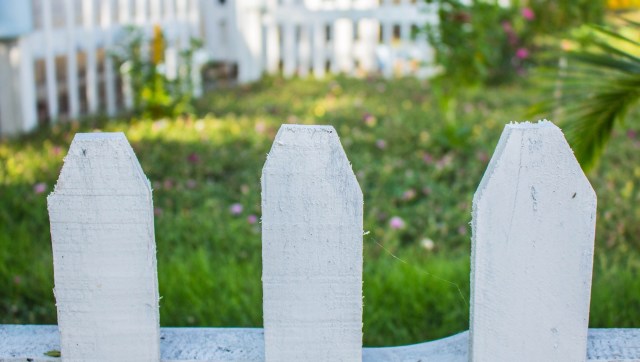One Redditor described a property dispute with a neighbor, where the neighbor destroyed a hedge line on their property.