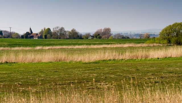 White storks, extinct locally since the Middle Ages, will be reintroduced to Eastbrookend Country Park in London in October 2026.