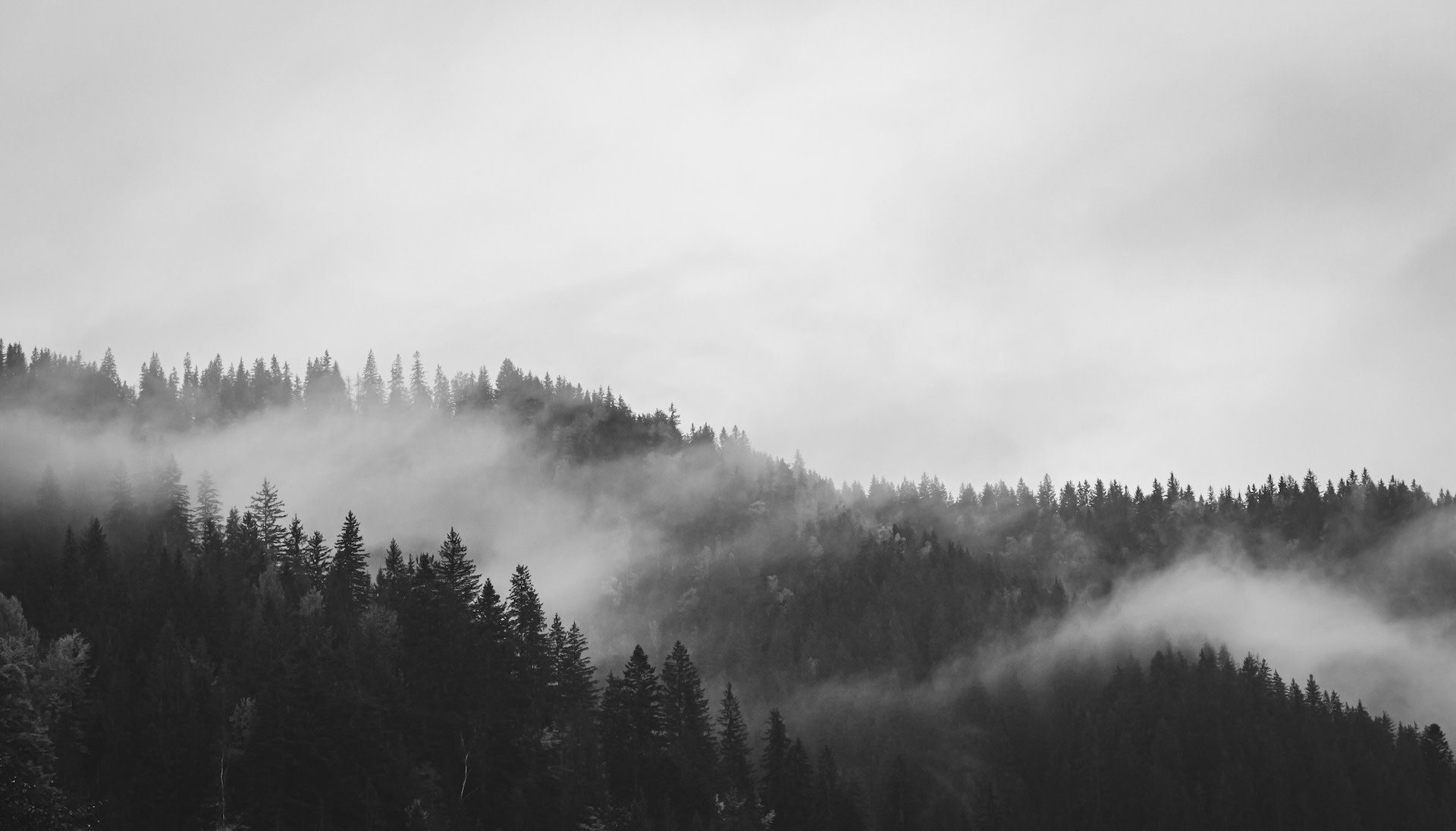 New research reveals looming threat that could have staggering impact on food supply: 'Decreased intake'