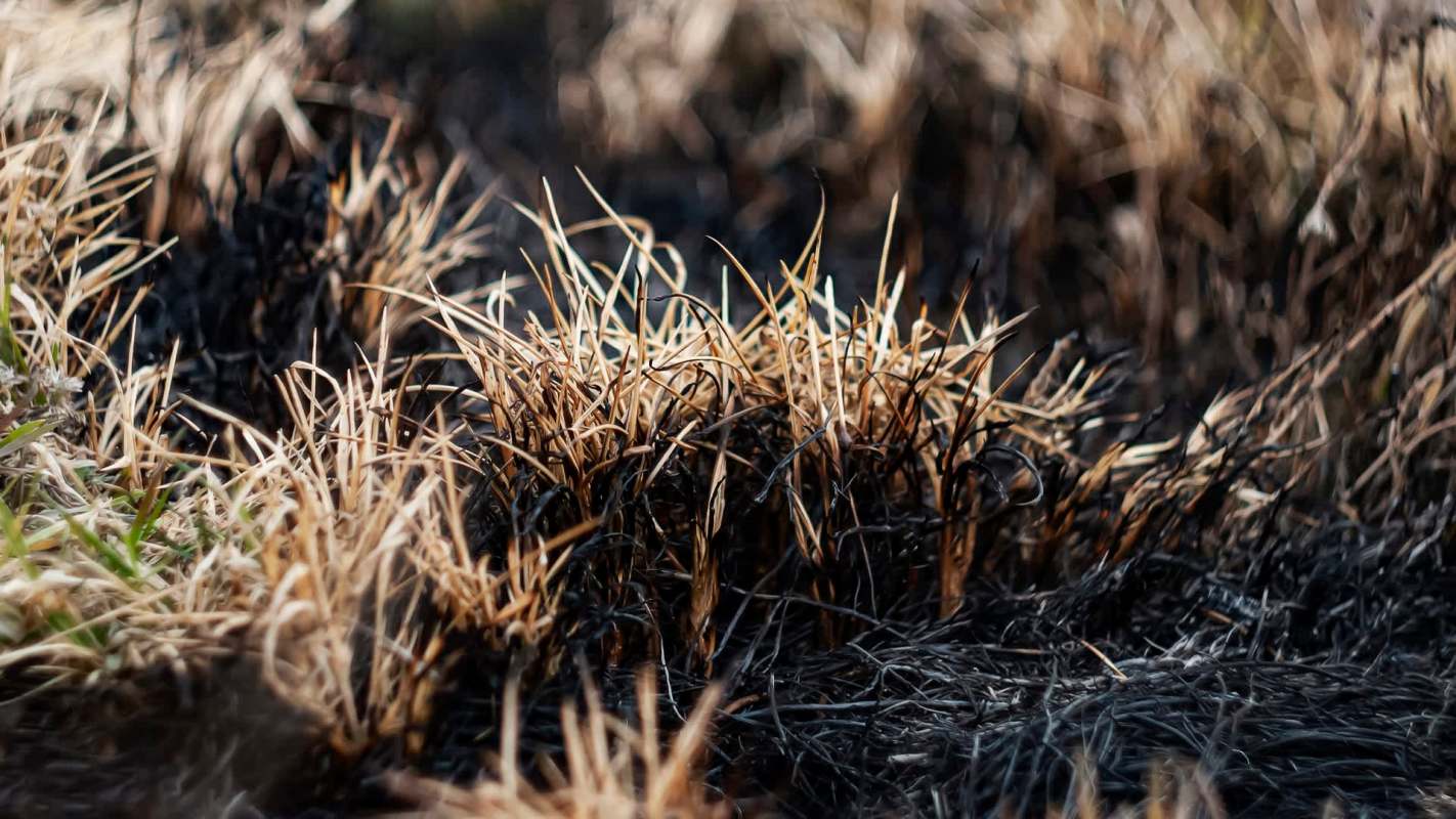 Recent studies found that wildland firefighters are suffering an epidemic of loneliness as a result of their profession.