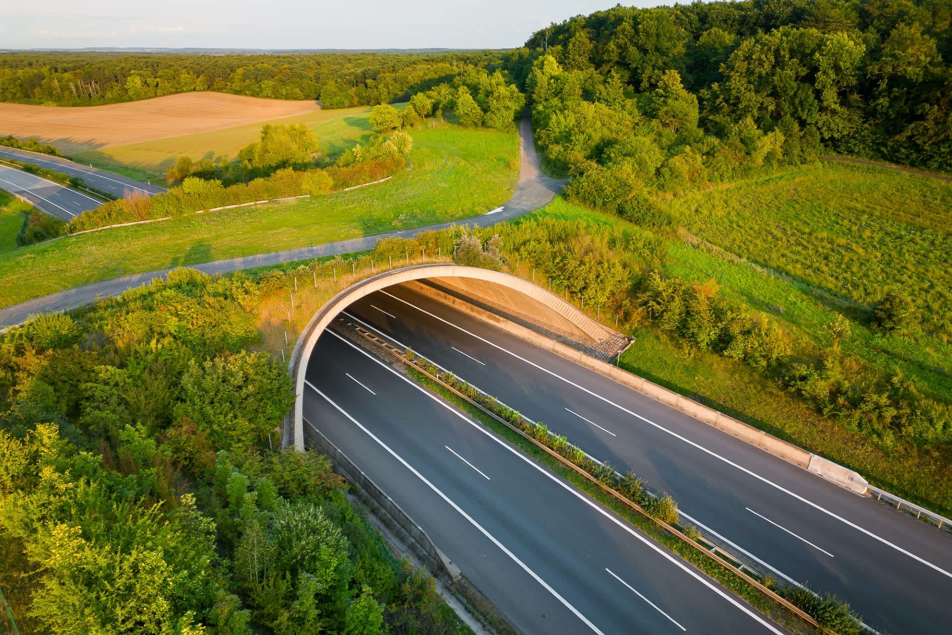 Lawmakers push bill that could solve dangerous issue on US roadways: 'Families don't have to risk their lives"