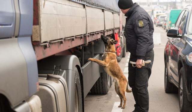 A recent U.K. border raid revealed the extent of wildlife smuggling, with officers intercepting over 250 protected animals and contraband.