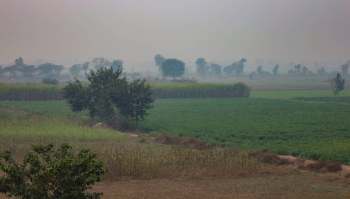 The Punjab Wildlife Rangers made a successful bust on illegal wildlife smuggling. A disturbing video led to the rescue of three black bears.