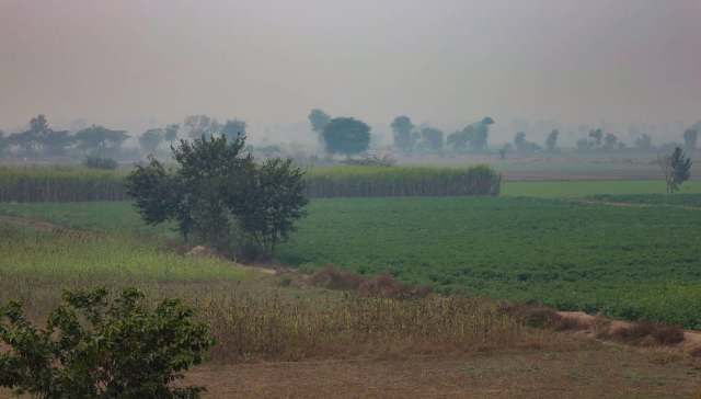The Punjab Wildlife Rangers made a successful bust on illegal wildlife smuggling. A disturbing video led to the rescue of three black bears.