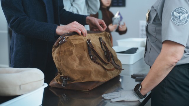 Customs officers in India intercepted a traveler who was carrying 48 exotic animals stuffed inside luggage.