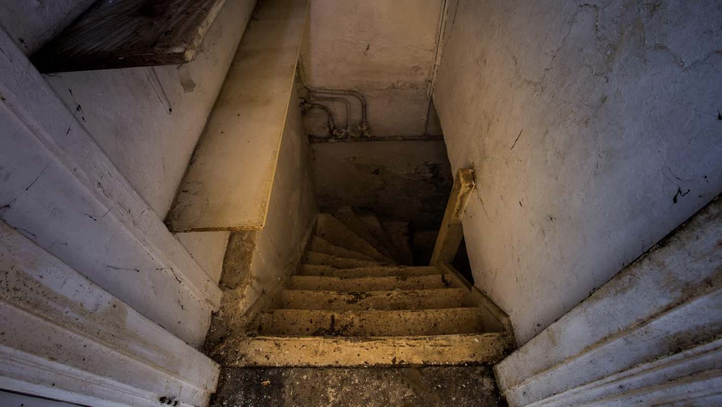 California authorities uncovered and disrupted several major wildlife trafficking operations, including one that internationally trafficked illegal products made from endangered species.