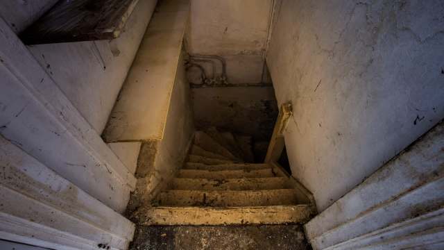 California authorities uncovered and disrupted several major wildlife trafficking operations, including one that internationally trafficked illegal products made from endangered species.