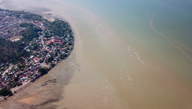 Malaysian authorities broke up an apparent case of wildlife trafficking in which hundreds of protected animals were found being illegally held off the coast of Batu Pahat.