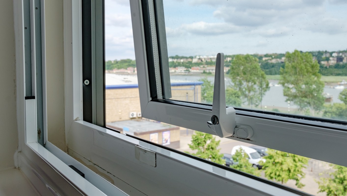 According to researchers, the pharaoh ant has managed to invade cities on every continent.