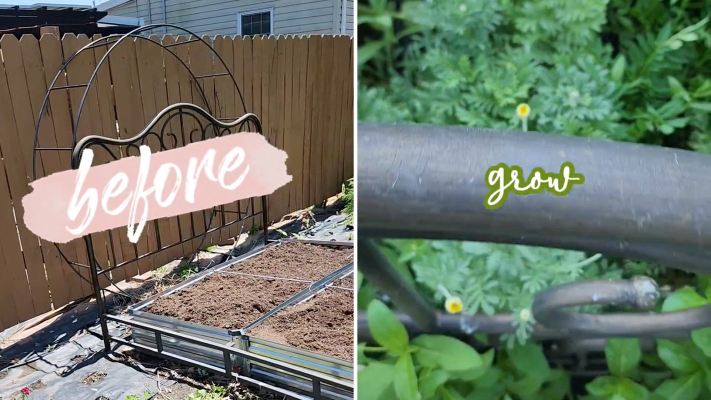 One gardener shared a whimsical before-and-after transformation, creating a flower bed using an old wrought iron bed frame.