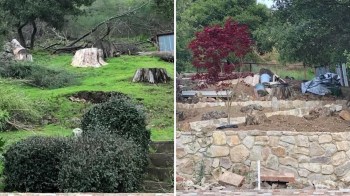 A set of before-and-after backyard photos made waves on Reddit when one homeowner shared how they ripped out a traditional lawn.