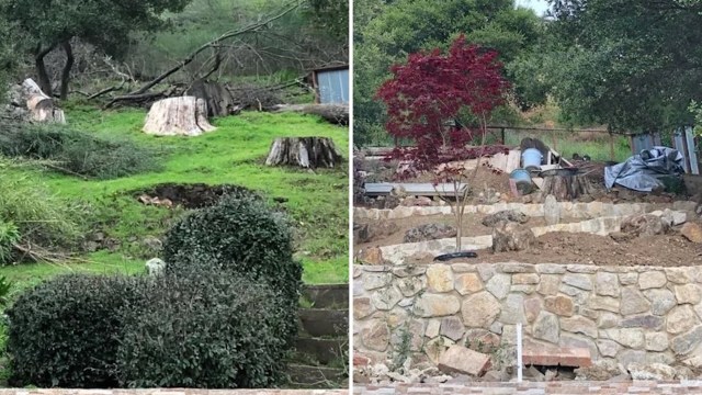 A set of before-and-after backyard photos made waves on Reddit when one homeowner shared how they ripped out a traditional lawn.