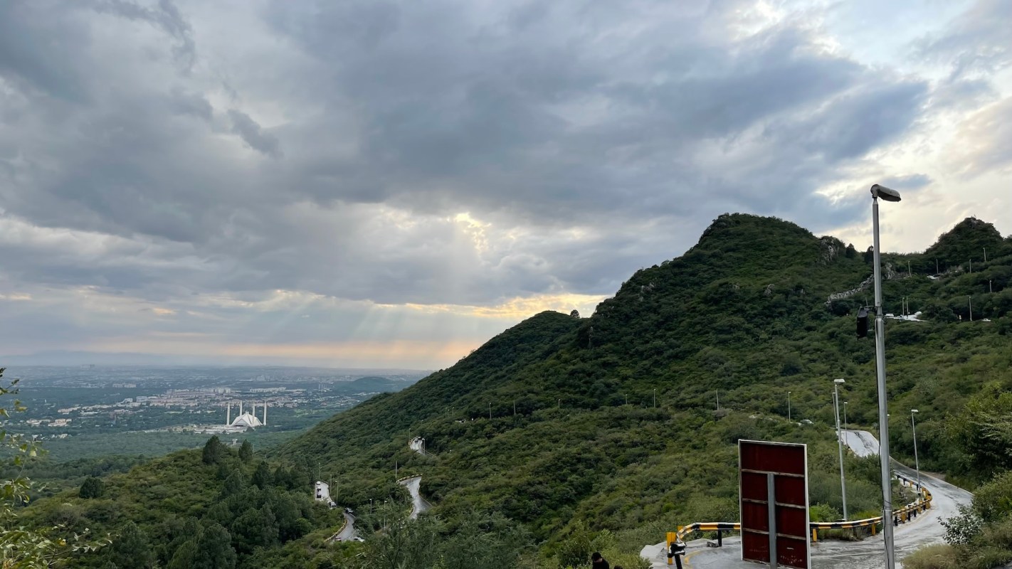 A yellow-throated marten was captured by trail cams in Pakistan's Margalla Hills National Park.