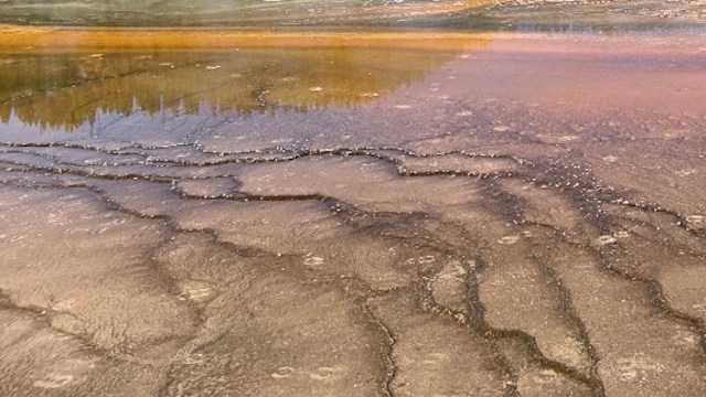 One visitor to Yellowstone recently overheard a fellow tourist asking a head-scratching question about the Grand Prismatic Spring.
