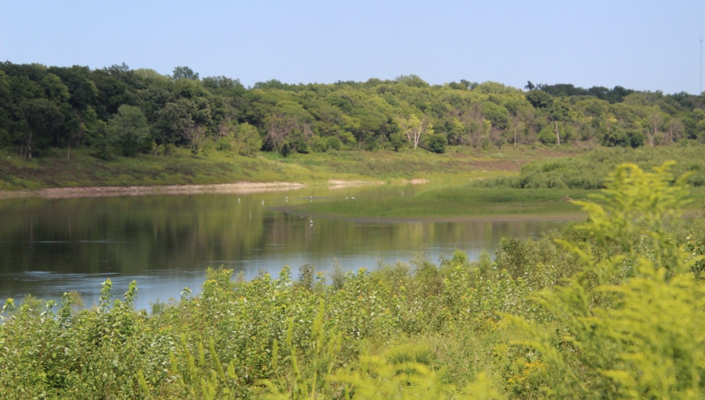Zebra mussels were recently spotted in a river in Iowa, and the invasive wildlife could cause expensive problems for locals.