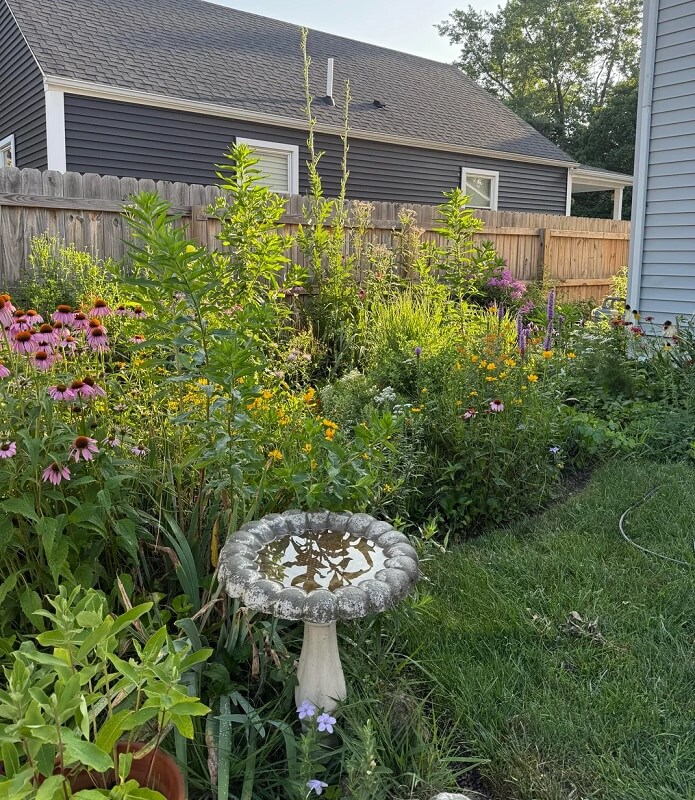 One Redditor shared images of their native garden (in USDA Zone 6b) from last summer, and it's a masterpiece.