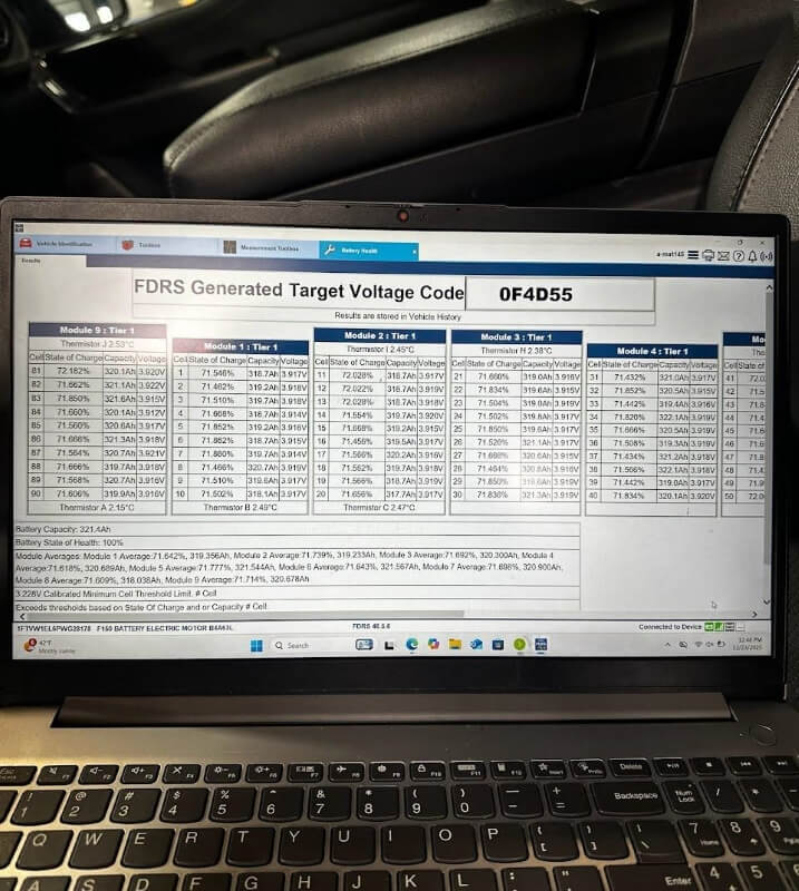 One F-150 Lightning owner was shocked to discover their abused EV battery was still at 100% health.