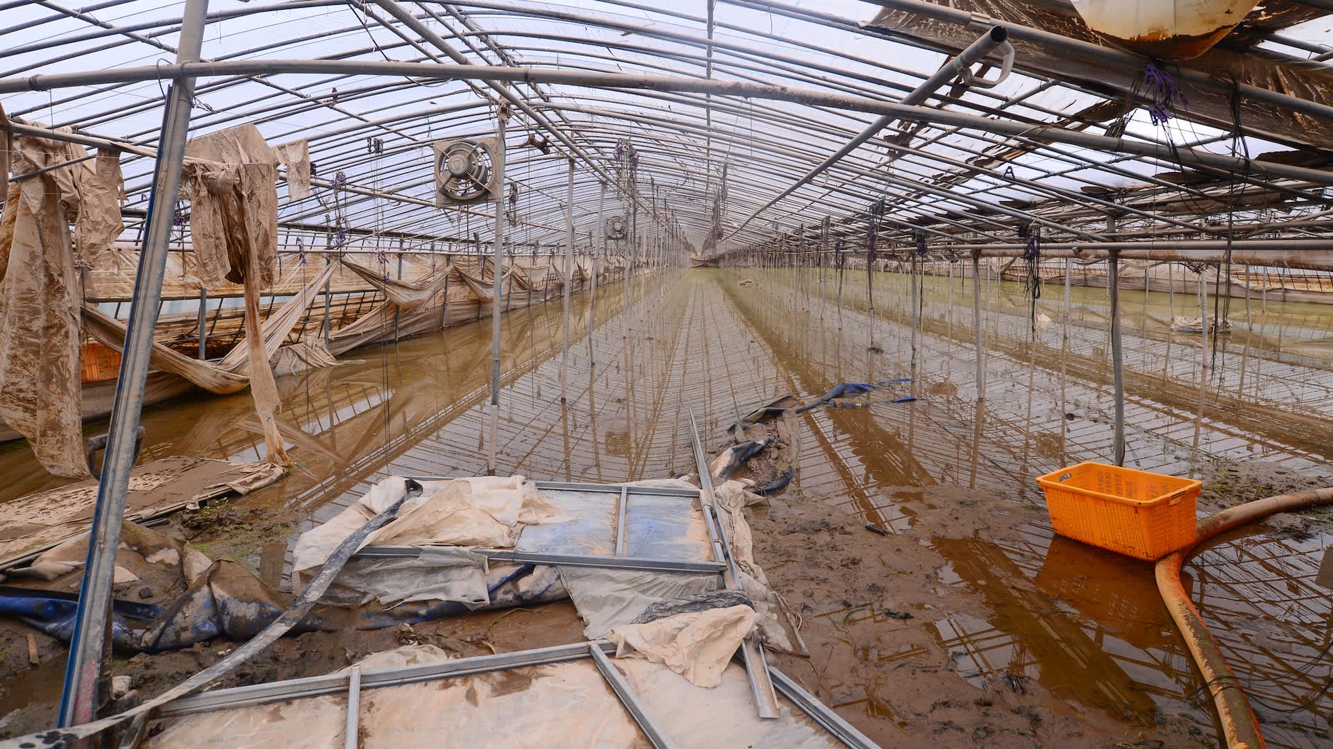 Experts issue warning after unexpected weather wipes out key crops — here's what's happening