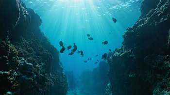 Researchers have discovered an unexpected network of underwater canyons beneath Antarctica that could shift predictions of future ice melt.