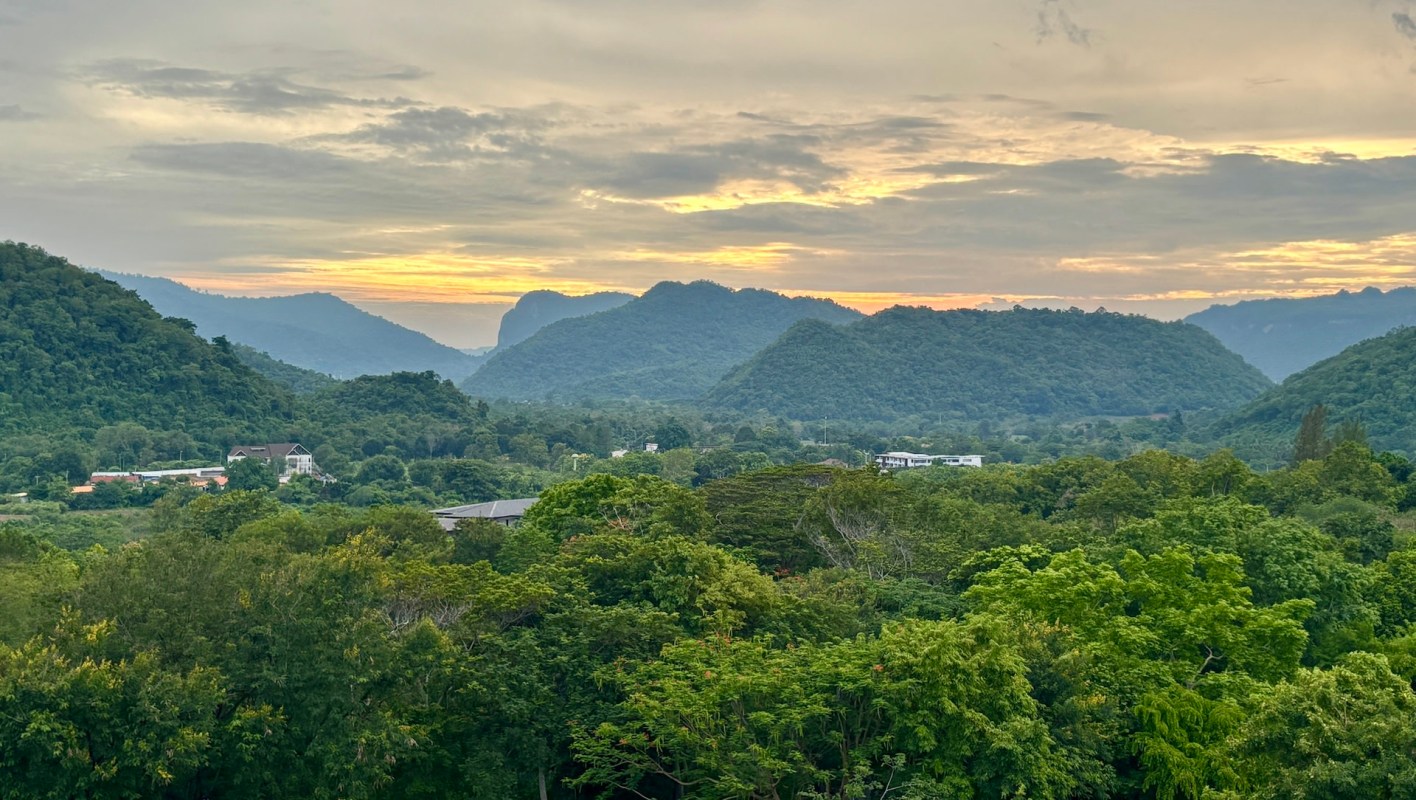 Trail cameras inside Thailand's Khao Yai National Park recorded clear images of an Asian golden cat, a rare wild feline.