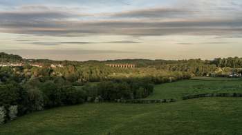 The discovery of the Asian hornet in Wales is causing the Welsh government to advise residents to familiarize themselves with this invasive insect.