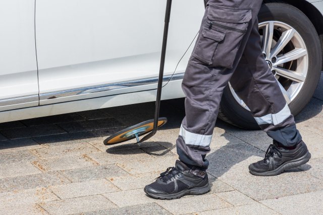 California authorities confiscated a group of illegal animal parts, including elephant trunks and ivory, being transited in the state.