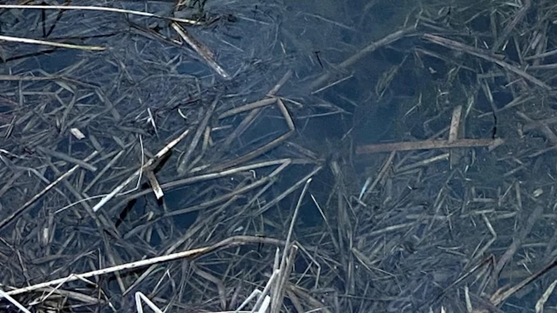 Concerned student shares photo of upsetting scene on campus: 'This is why we can't have nice things'