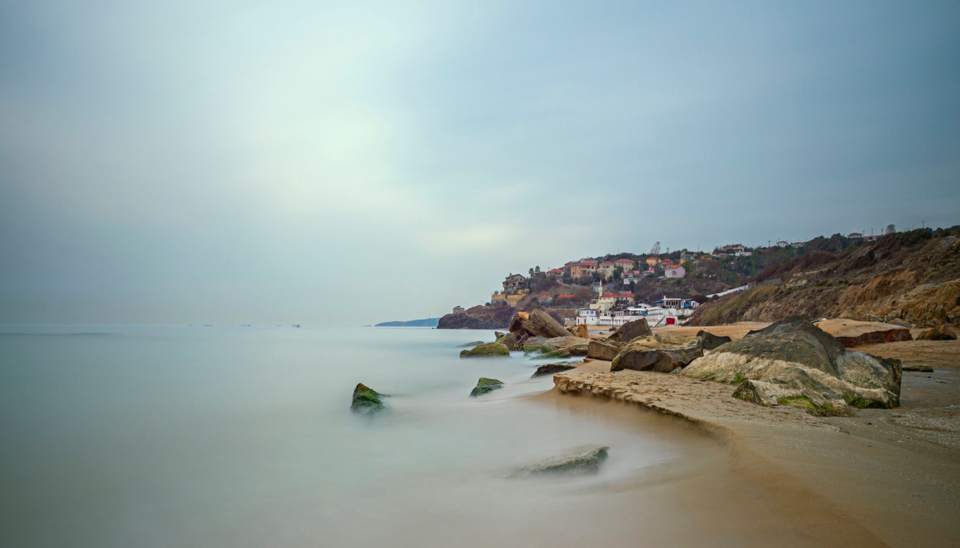 Officials reported that a rare Siberian brant, or red-breasted goose (Branta ruficollis), has been spotted in Rize, a city in Turkey located on the Black Sea.