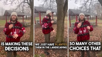 A recent TikTok video is sparking conversation about how cities landscape public spaces with Bradford pear trees.