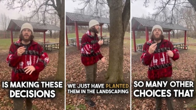 A recent TikTok video is sparking conversation about how cities landscape public spaces with Bradford pear trees.