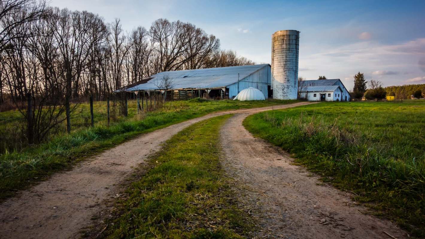 Experts have warned that an "incredibly destructive" invasive species — Canadian super pigs — is on the brink of crossing the U.S. border.