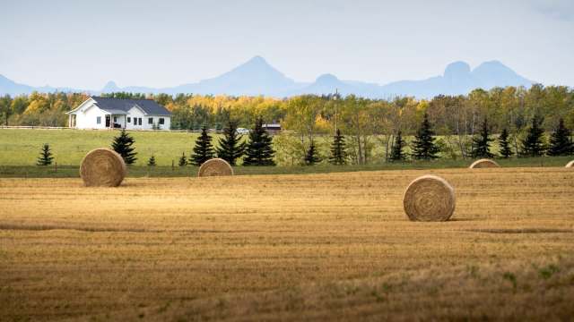 A farmer captured heartwarming footage of a Cooper's hawk visiting their garden.