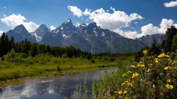 A man brought a full DJ setup to Schwabacher Landing in Grand Teton National Park.