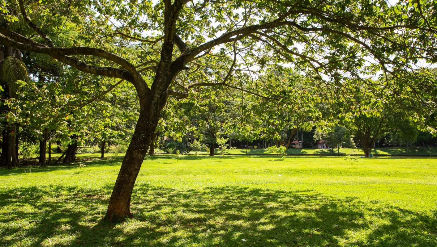 It's important to leave no trace when enjoying public spaces. One conversation on the r/NiceVancouver subreddit centered around the impact of disrespecting the iconic engagement sculpture in a Vancouver public park.