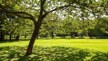 It's important to leave no trace when enjoying public spaces. One conversation on the r/NiceVancouver subreddit centered around the impact of disrespecting the iconic engagement sculpture in a Vancouver public park.