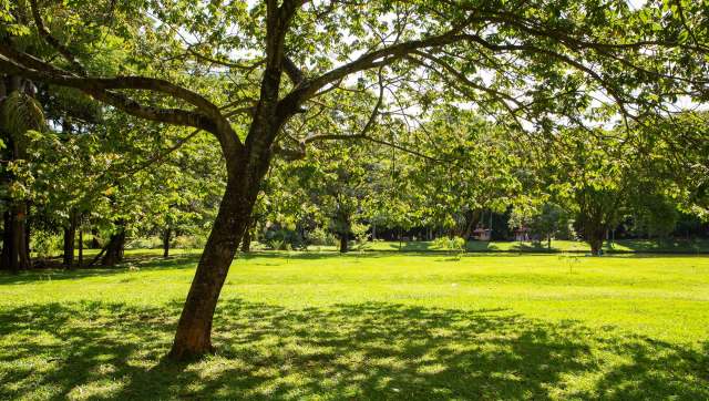 It's important to leave no trace when enjoying public spaces. One conversation on the r/NiceVancouver subreddit centered around the impact of disrespecting the iconic engagement sculpture in a Vancouver public park.