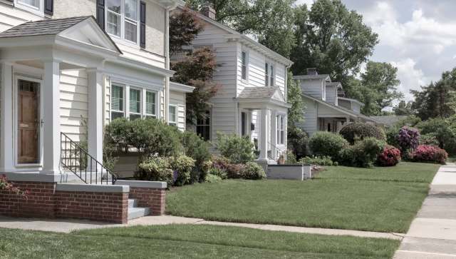 One distressed HOA member sought advice dealing with the fallout from the removal of some English Ivy.