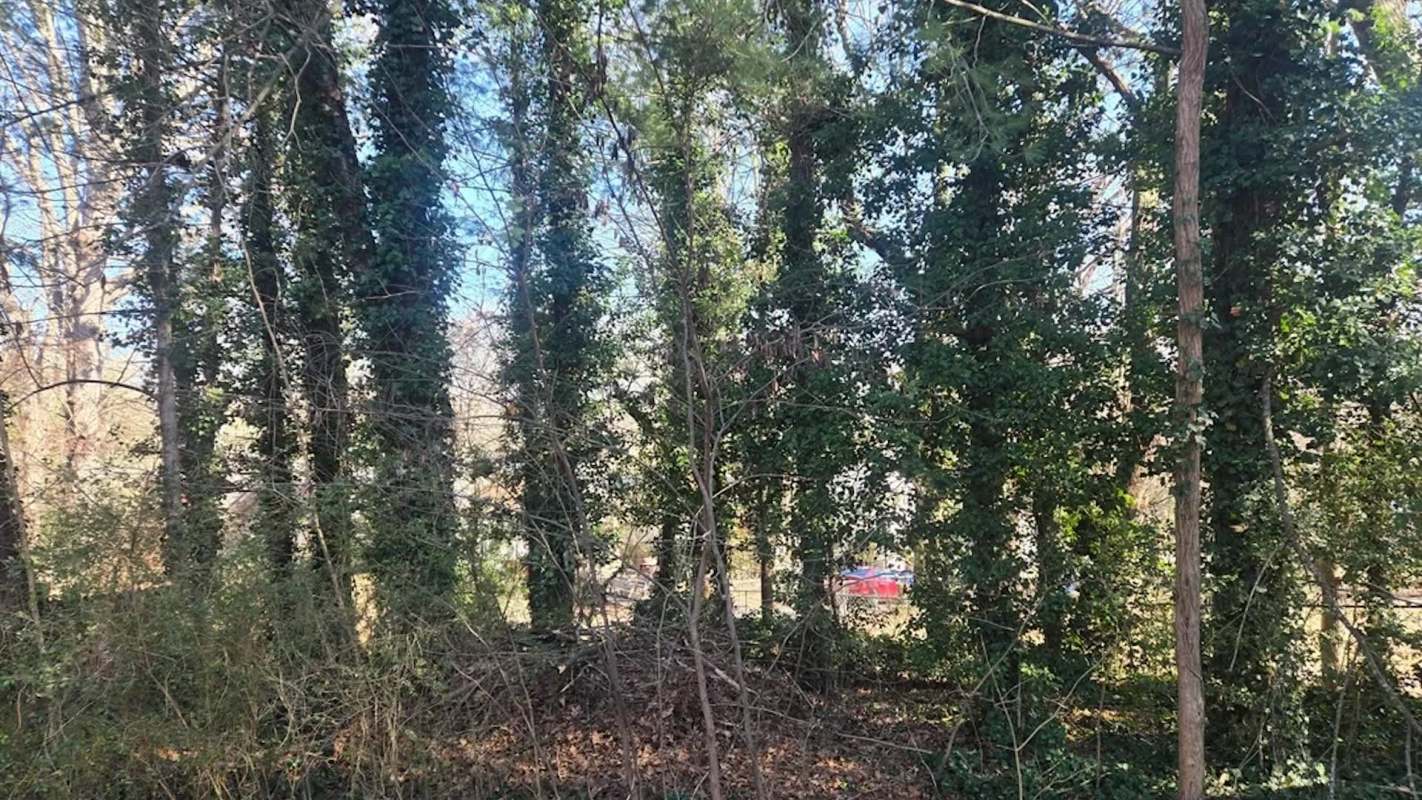 A homeowner in North Carolina got a crash course in the invasive plant English ivy after inheriting a property in Asheville.