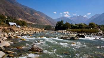 Conservationists are thrilled by the recent sighting of a near-threatened Eurasian otter in the mountains of Kashmir.