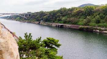 Three Eurasian otters were spotted in the Nakdong River by a zinc smelter in South Korea.