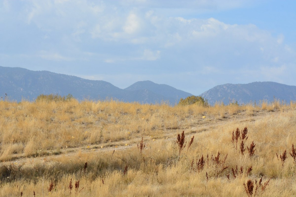 Colorado’s snowpack has fallen to record-low levels in parts of the state, sounding alarms about worsening drought conditions and water shortages.