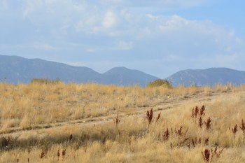 Colorado's snowpack has fallen to record-low levels in parts of the state, sounding alarms about worsening drought conditions and water shortages.
