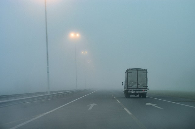 A variety of emerging technologies and tactics for fighting wildlife trafficking are helping officials protect vulnerable species.