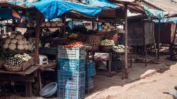 Indian farmers fear that the new trade agreement could hurt them economically by allowing U.S. products into the country.