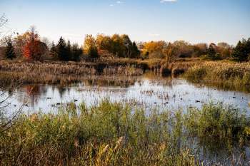 The Northumberland Land Trust is expanding its network of protected land after receiving a generous offering.