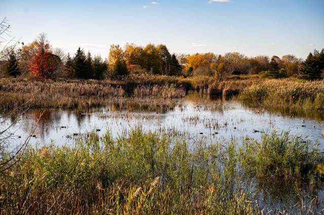 The Northumberland Land Trust is expanding its network of protected land after receiving a generous offering.