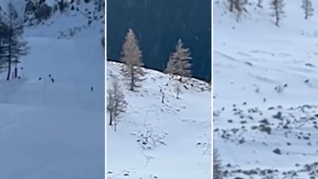A hiker captured an unprecedented moment at France's Isola 2000 ski resort: a massive pack of wolves calmly walking across a groomed ski slope.