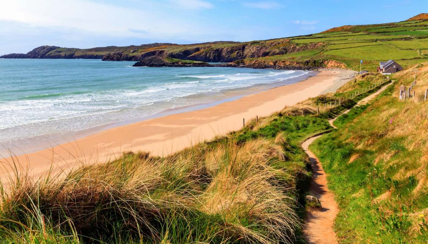 In January 2026, a Kemp's Ridley sea turtle was spotted in Pembrokeshire, Wales — raising concerns about its well-being.