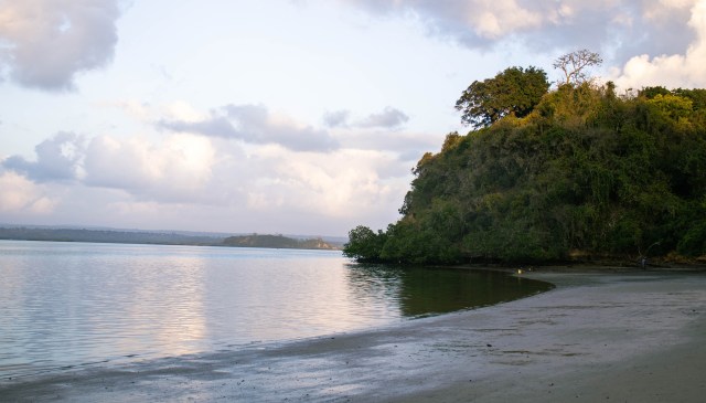 The autopsy of a whale in Kenya revealed the tragic consequences of plastic pollution on marine life.