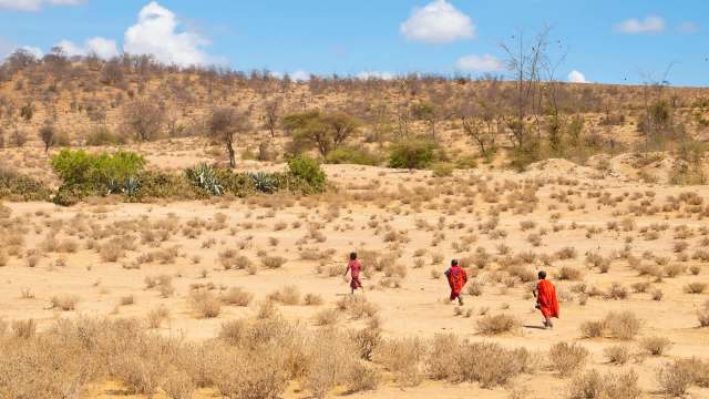 Kenya is in the midst of a devastating drought, with more than two million people experiencing food insecurity and extreme water scarcity.
